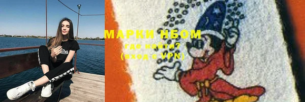 крисы Майский