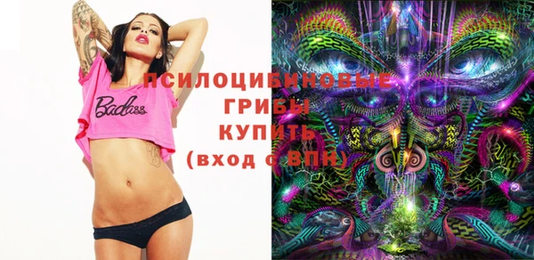 кокс Дмитриев