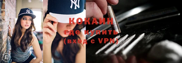 кокс Дмитриев