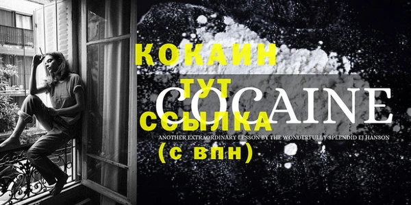 кокс Дмитриев