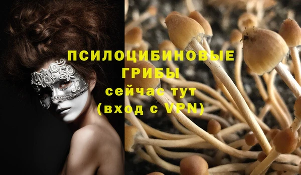мдма Дмитров