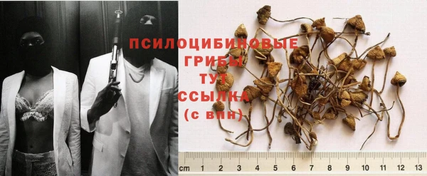 кокс Дмитриев