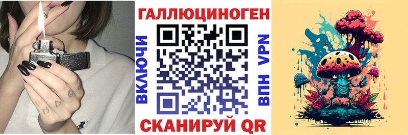 Псилоцибиновые грибы Psilocybe  как найти   Зеленодольск 
